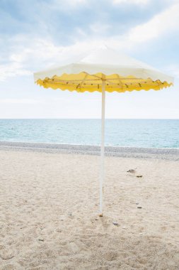 Yaz sahilde sarı şemsiye