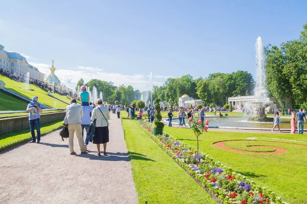 夏にはペテルゴフで噴水の有名な公園 — ストック写真