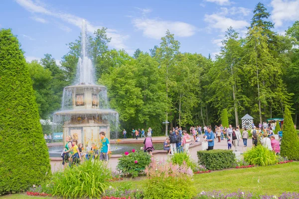 在夏天在彼得夏宫喷泉著名的公园 — 图库照片