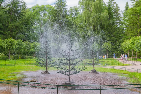 Slavný Park fontán v Peterhof v létě — Stock fotografie