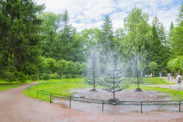 夏にはペテルゴフで噴水の有名な公園 — ストック写真