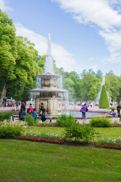O famoso Parque de fontes em Peterhof no verão — Fotografia de Stock
