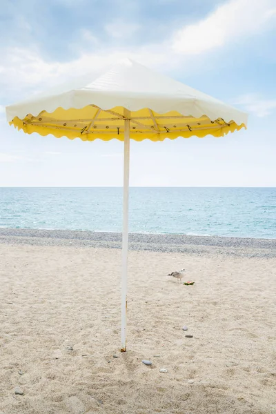 Žlutý deštník na pláži v létě — Stock fotografie