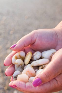 Gün batımında sahilde elinde deniz taşları