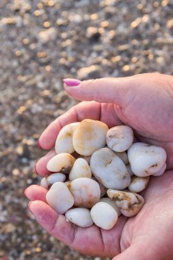 Gün batımında sahilde elinde deniz taşları