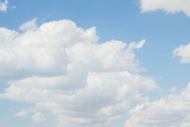 Kuş Albatros beyaz bulutlar ile mavi gökyüzünde uçuyor