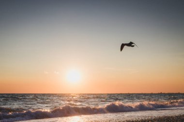 Yaz denizde güzel gün batımı