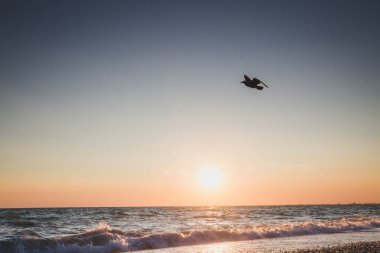 Yaz denizde güzel gün batımı