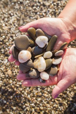 Deniz taş yaz aylarında sahilde elinde