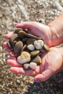 Deniz taş yaz aylarında sahilde elinde
