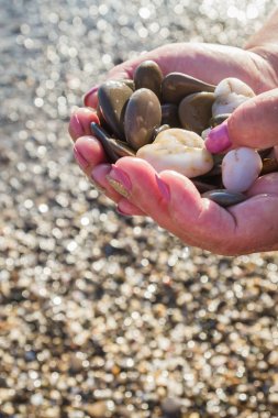 Deniz taş yaz aylarında sahilde elinde