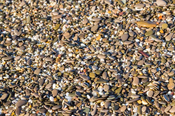 Pierres de mer sur la plage en été — Photo