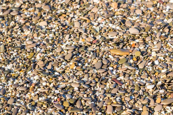 Pierres de mer sur la plage en été — Photo