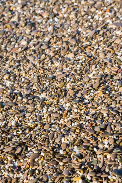Pierres de mer sur la plage en été — Photo