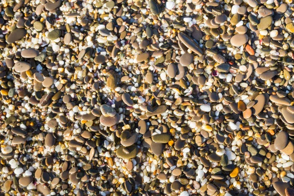 Pierres de mer sur la plage en été — Photo