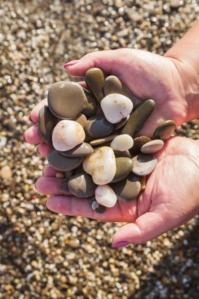 Sea stones in hands on the beach in the summer