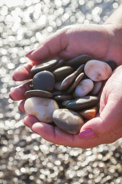 Sea stones in hands on the beach in the summer