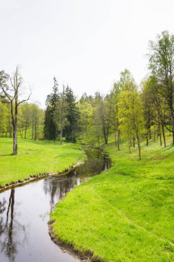 Bahar doğa Park brook ile