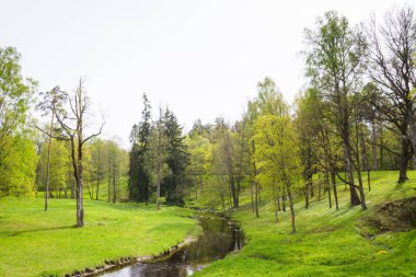 Bahar doğa Park brook ile