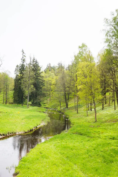 Spring nature in the Park with brook Stock Photo