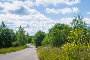 Ülkede asfalt yol yaz