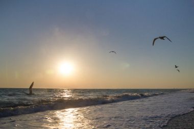 Yaz denizde güzel gün batımı