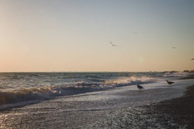 Yaz denizde güzel gün batımı