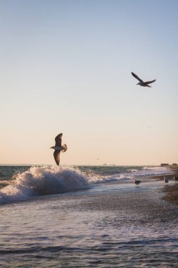 Yaz denizde güzel gün batımı