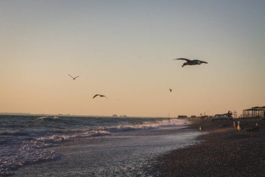 Yaz denizde güzel gün batımı