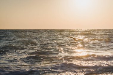 Yaz denizde güzel gün batımı