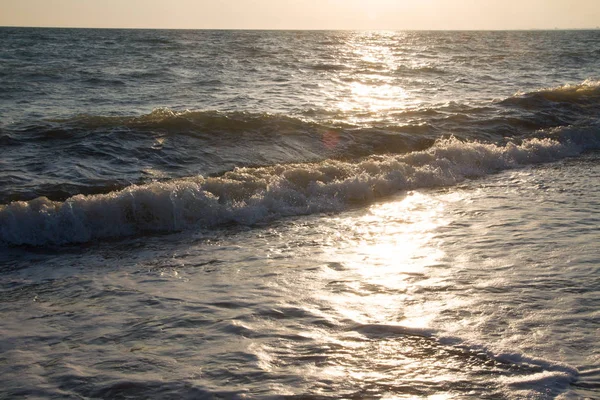 Evening sea sunset in the summer