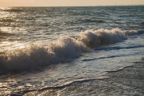 Evening sea sunset in the summer