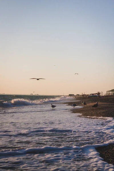 Beautiful sunset on the summer sea — Stock Photo, Image