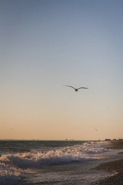 Beau coucher de soleil sur la mer d'été — Photo