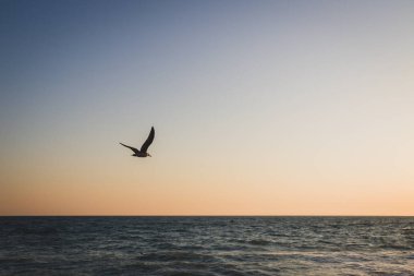 Yaz denizde güzel gün batımı