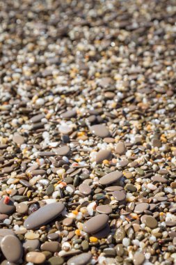 Deniz kıyısı yaz aylarında deniz taşları