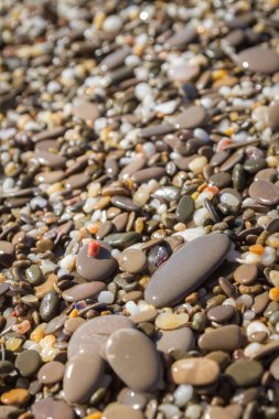 Deniz kıyısı yaz aylarında deniz taşları