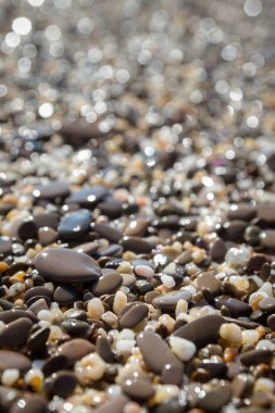 Deniz kıyısı yaz aylarında deniz taşları