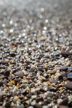 Deniz kıyısı yaz aylarında deniz taşları