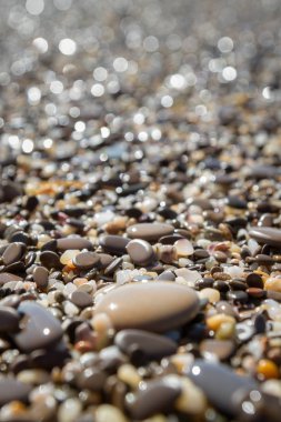 Deniz kıyısı yaz aylarında deniz taşları