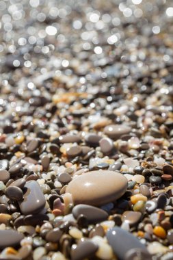 Deniz kıyısı yaz aylarında deniz taşları