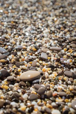 Deniz kıyısı yaz aylarında deniz taşları