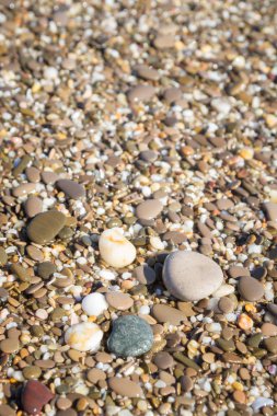 Deniz kıyısı yaz aylarında deniz taşları