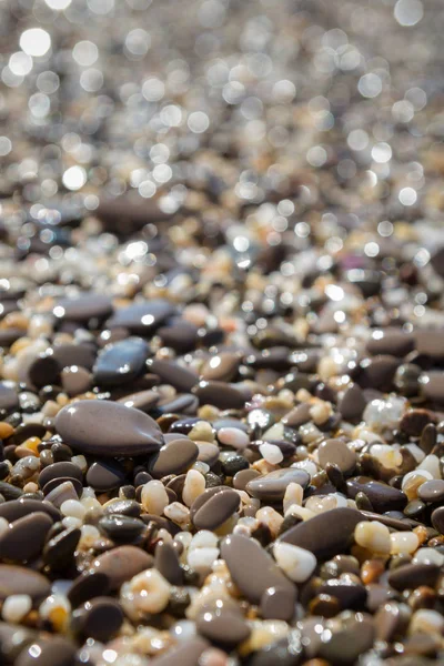 Морские камни на берегу моря летом — стоковое фото