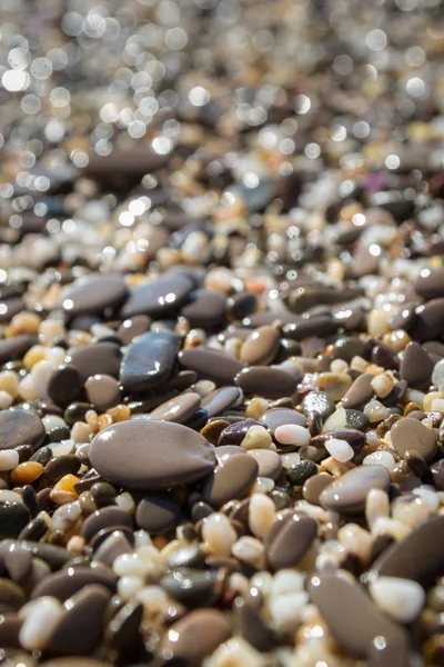 Piedras marinas en la orilla del mar en el verano —  Fotos de Stock