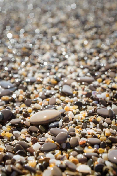 Pierres de mer au bord de la mer en été — Photo