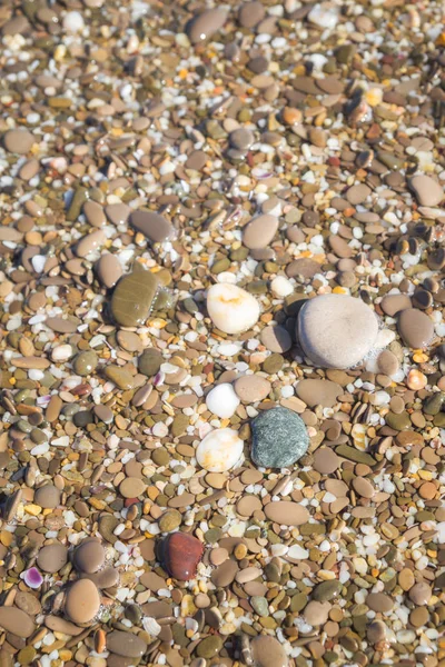 Πέτρες της θάλασσας στην παραλία το καλοκαίρι — Φωτογραφία Αρχείου