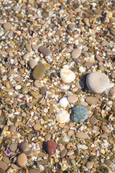 Морские камни на берегу моря летом — стоковое фото