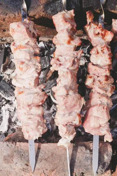 Pincho de carne —  Fotos de Stock