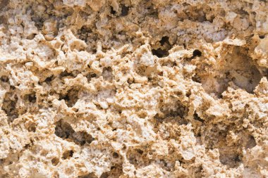 Coquina inşaat için doğal malzeme